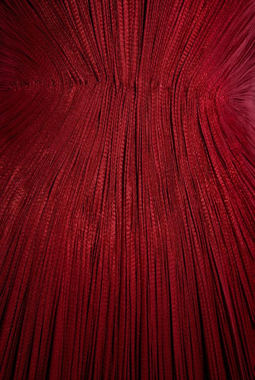 Jasleen Dress Red